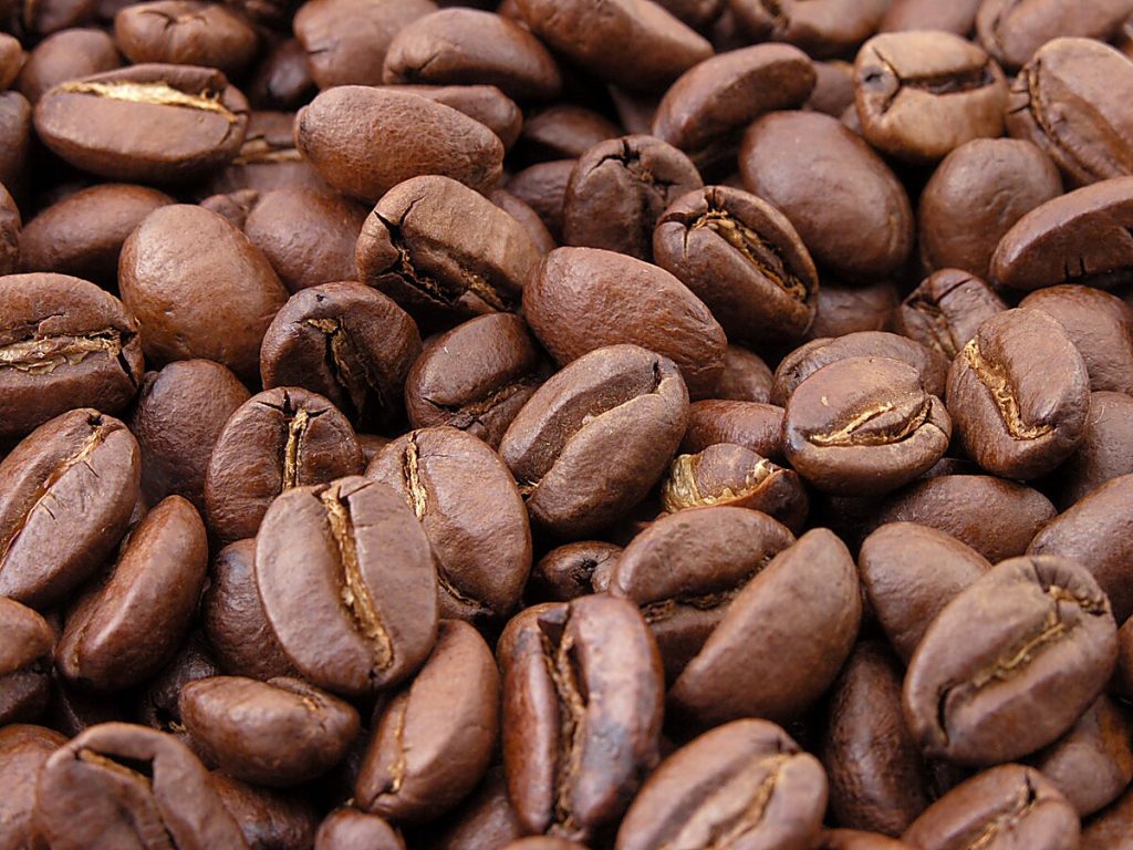 coffee Arabica